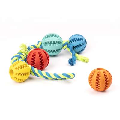 OEM ODM Popular Good Quality Plastic Dogs Food Treat Ball Dog Supplies