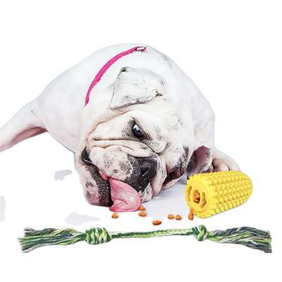 Wholesale Amazon Corn shape Toothbrash Chew Bite Dog queaky Toy