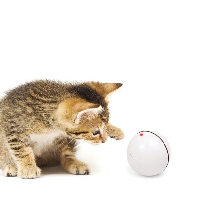 Best Selling Cute USB Laser Teaser Stick Self-Rotate Led Cat Toy