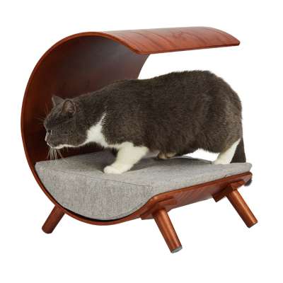 Modern Designer Tunnel Elevated Cat Bed Funny Pet cooling Bed